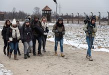 Destination Pitchipoï