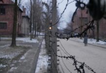 Les élèves de 5e exposent leurs photos sur Auschwitz
