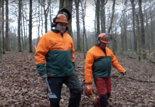 Les arbres, notre avenir