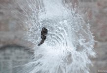 Quelques gouttes de lumière